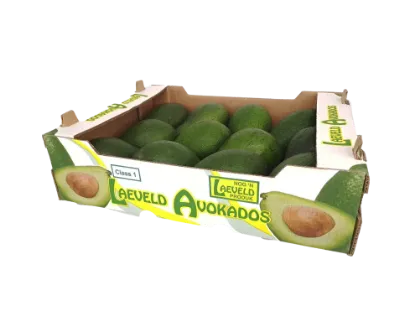 FUERTE GREEN AVOS IRON CROWN BOX