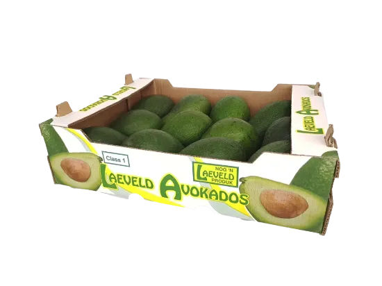 FUERTE GREEN AVOS IRON CROWN BOX