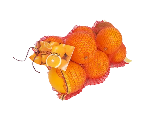 ORANGES NAVEL EG CARRI BAG